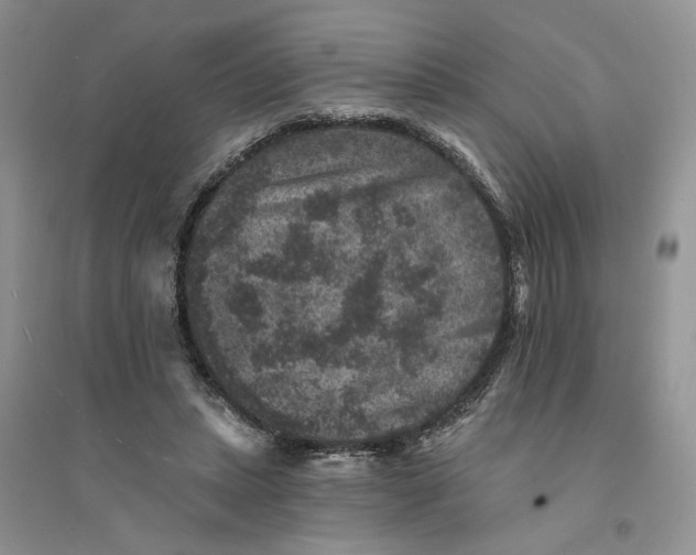 X0000094440447200711291640