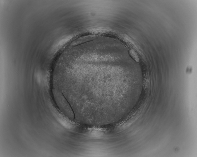 X0000094440448200711291640