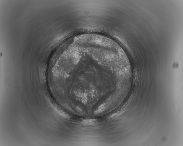 X0000094440450200711291640