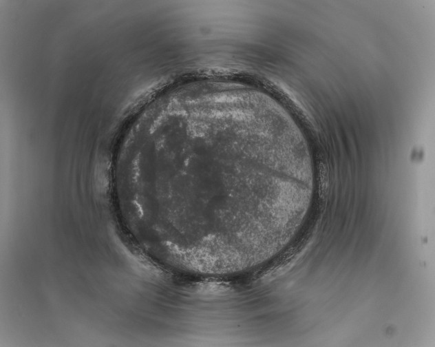 X0000094440451200711291640