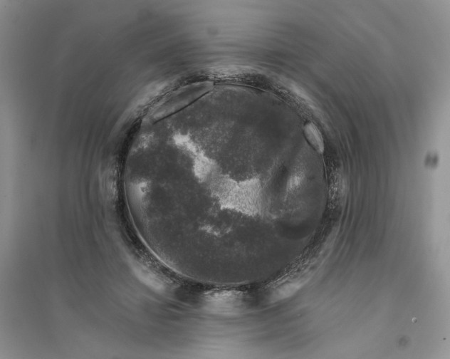 X0000094440452200711291640