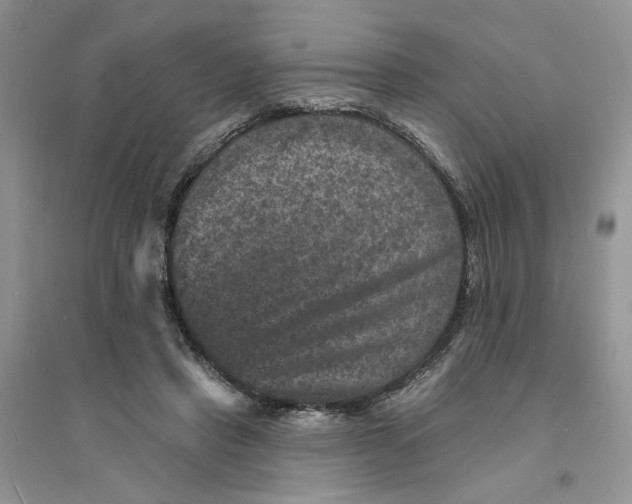 X0000094440453200711291640