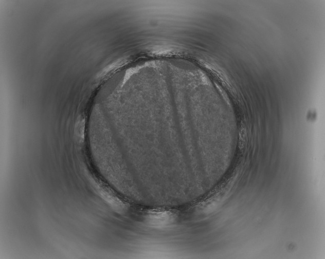 X0000094440454200711291640