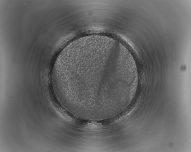 X0000094440455200711291640