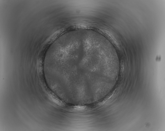 X0000094440457200711291640