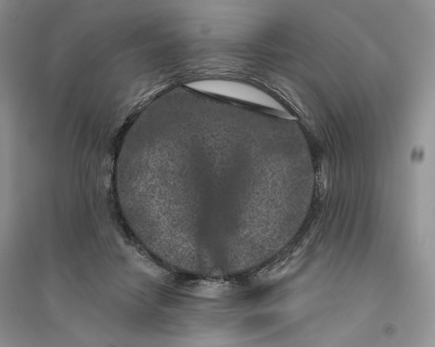 X0000094440458200711291640