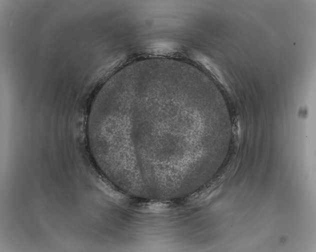 X0000094440462200711291640