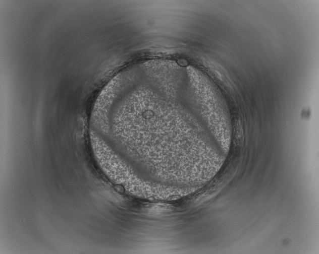 X0000094440463200711291640