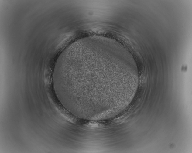 X0000094440464200711291640