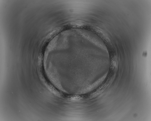 X0000094440468200711291640