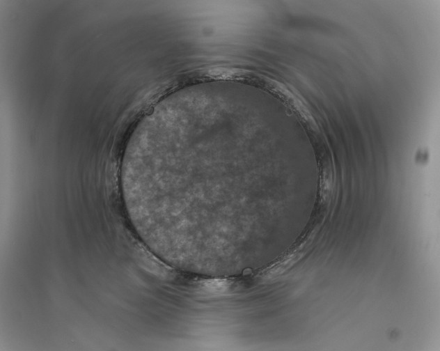 X0000094440473200711291640