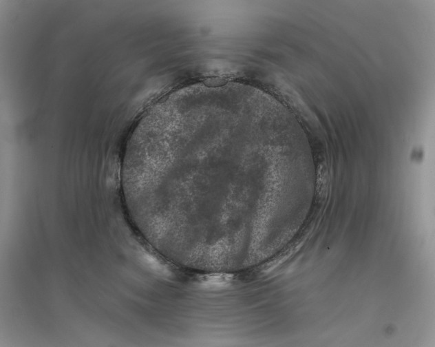 X0000094440474200711291640