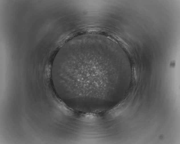 X0000094440475200711291640