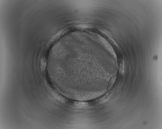 X0000094440476200711291640