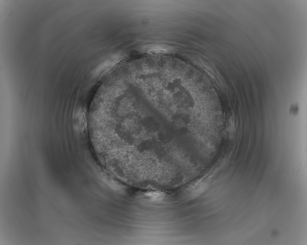 X0000094440478200711291640