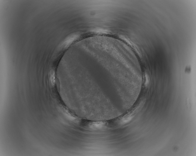 X0000094440479200711291640