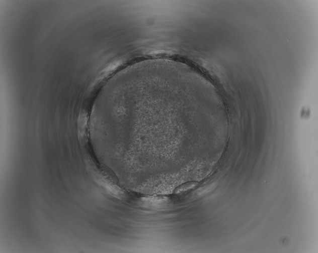 X0000094440480200711291640