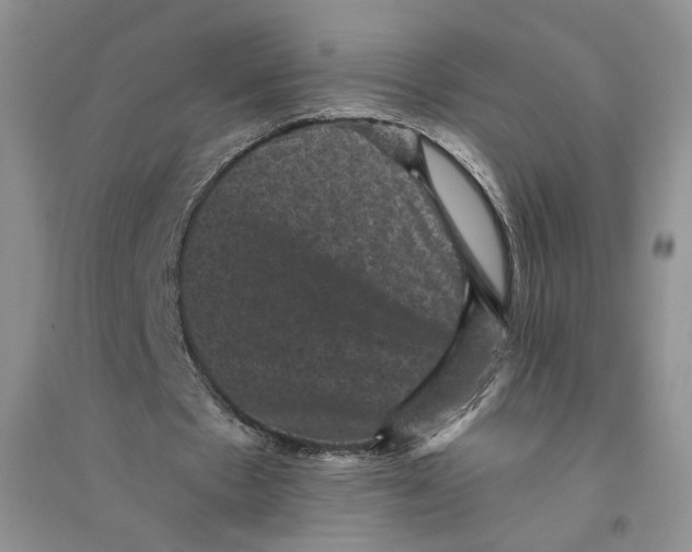 X0000094440481200711291640