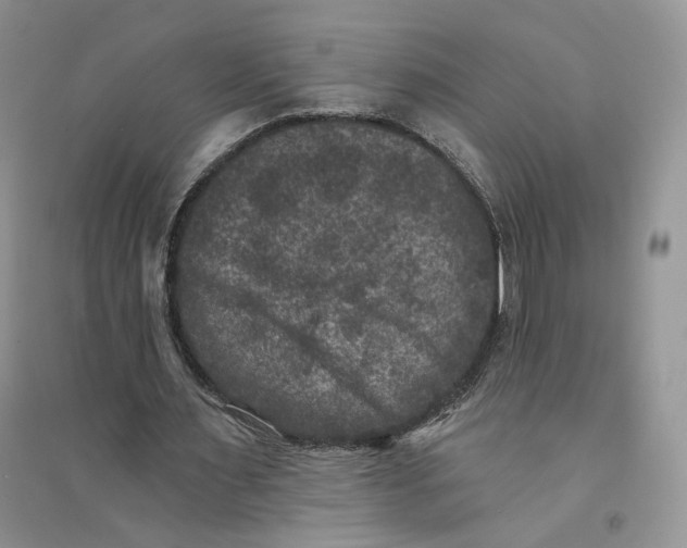 X0000094440483200711291640