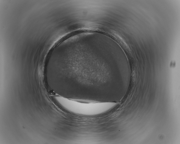 X0000094440484200711291639