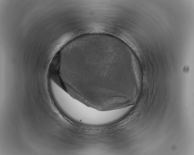 X0000094440485200711291639