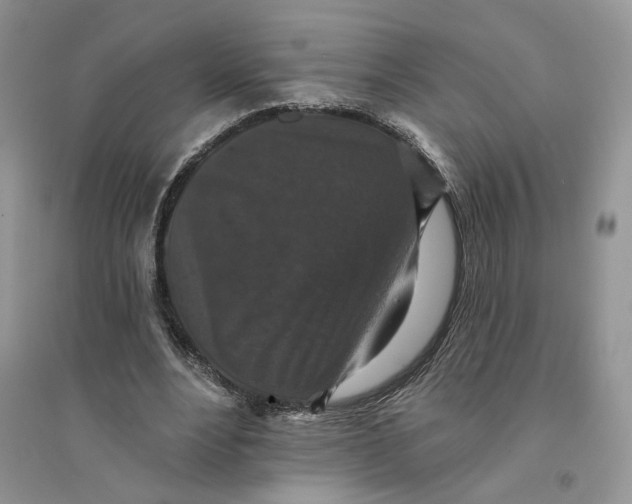 X0000094440488200711291639