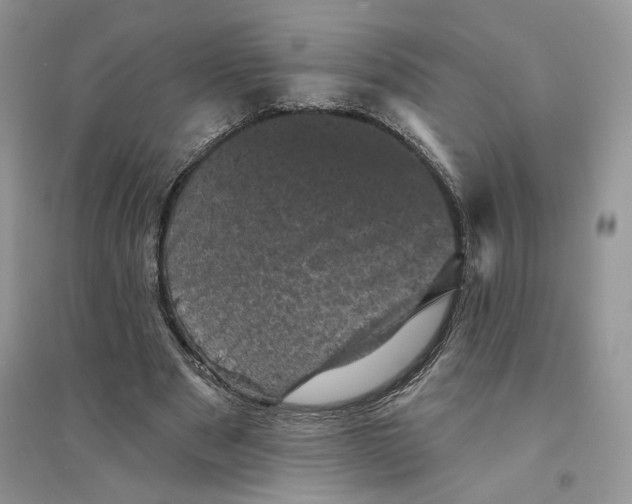 X0000094440489200711291639