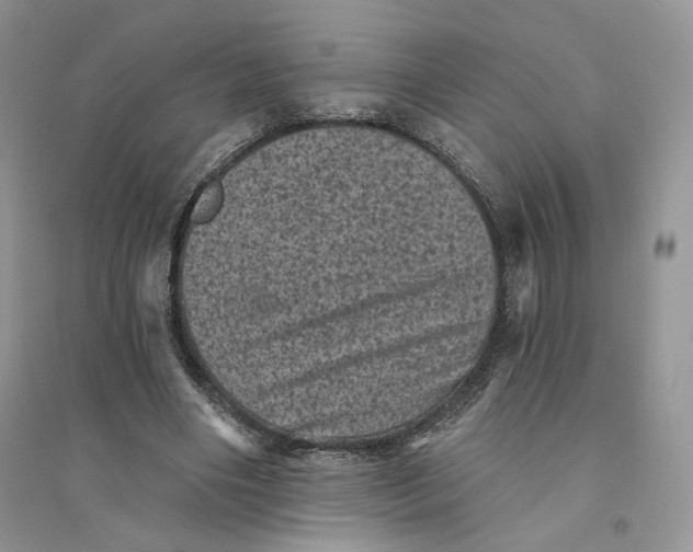 X0000094440490200711291639