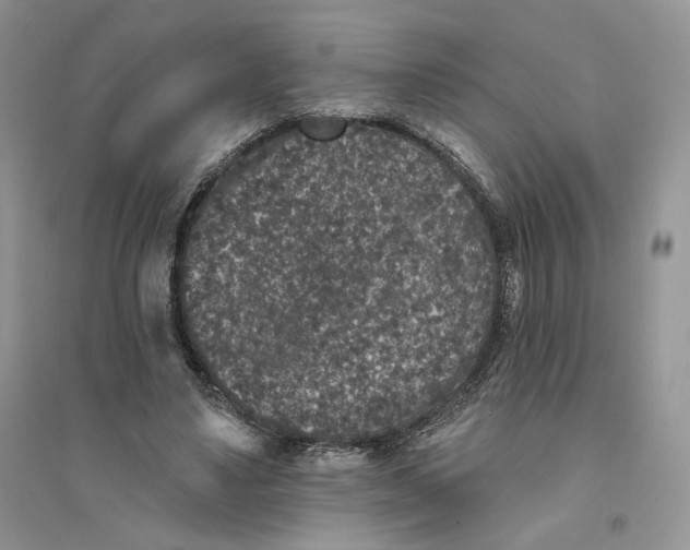 X0000094440491200711291639