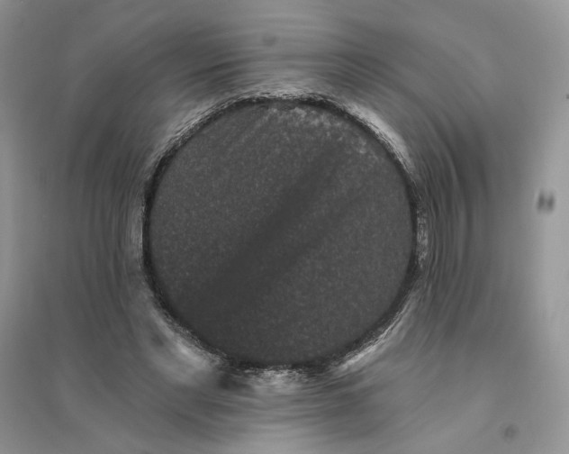 X0000094440493200711291639