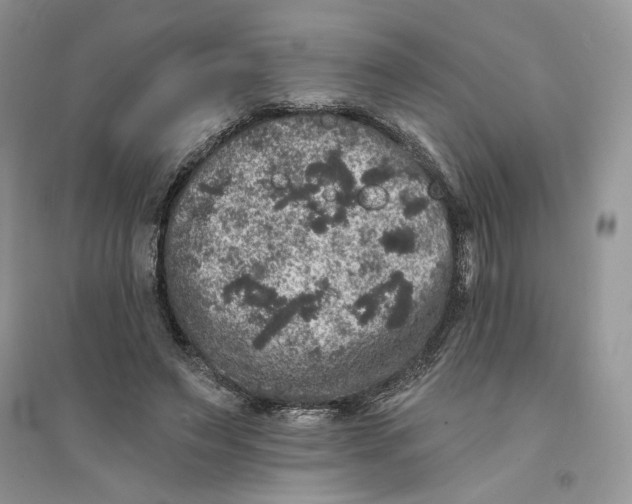 X0000094440495200711291639