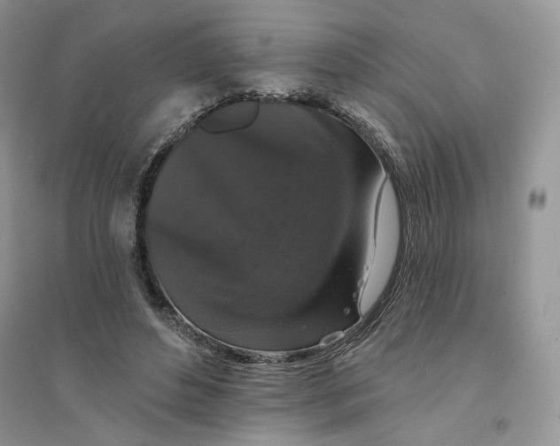 X0000094440496200711291639