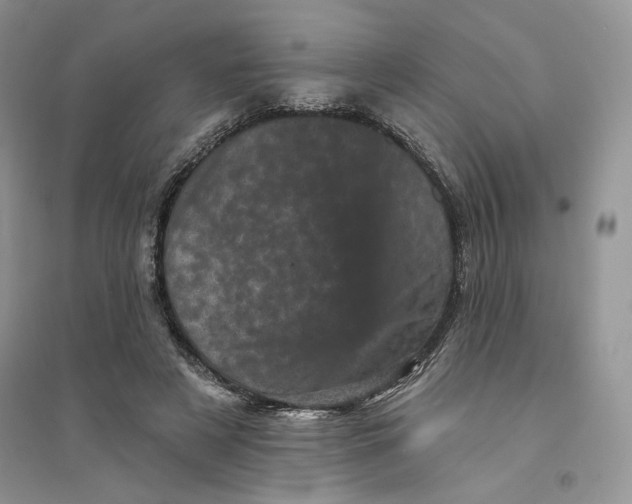 X0000094440497200711291639