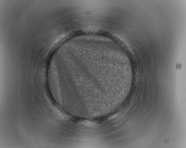 X0000094440498200711291639