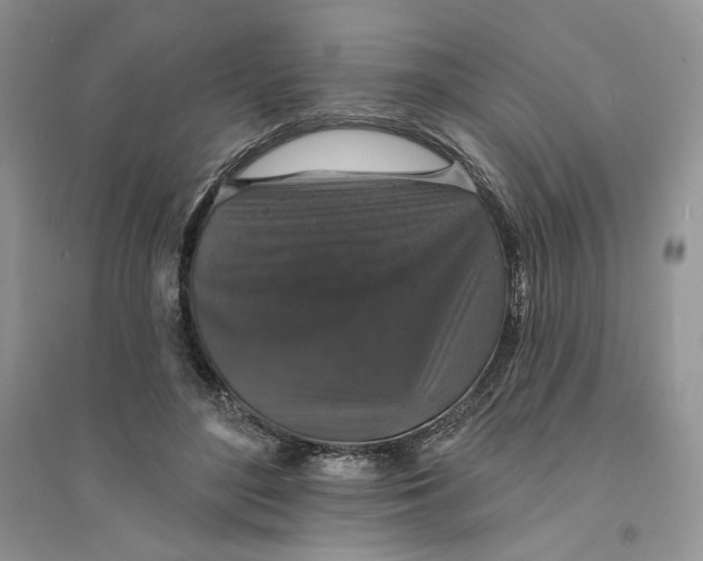 X0000094440500200711291639