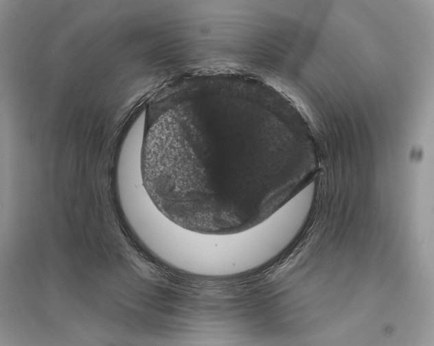 X0000094440501200711291639