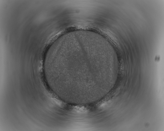 X0000094440502200711291639