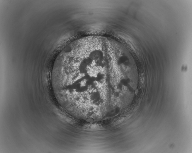 X0000094440503200711291639