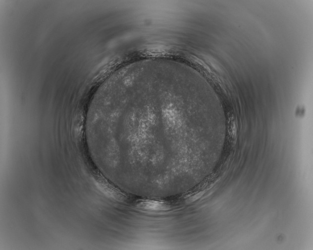 X0000094440507200711291639