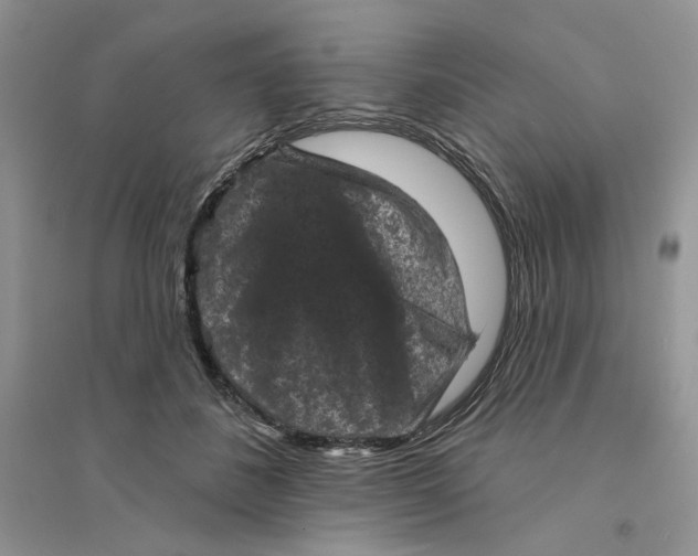 X0000094440508200711291639