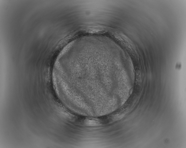 X0000094440510200711291639