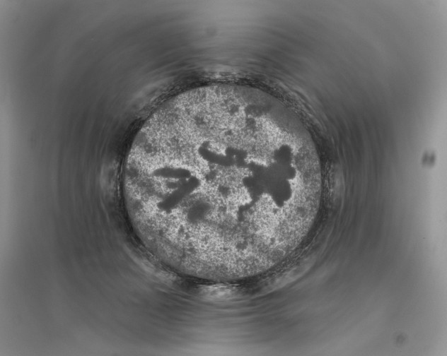 X0000094440511200711291639