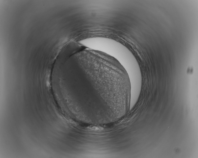 X0000094440512200711291639