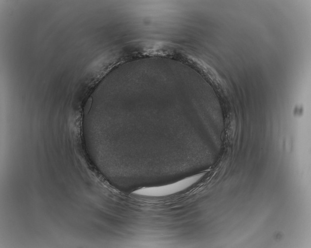 X0000094440513200711291639