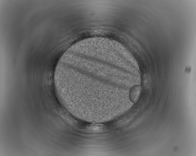 X0000094440514200711291639