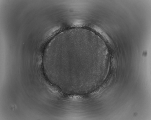 X0000094440517200711291639