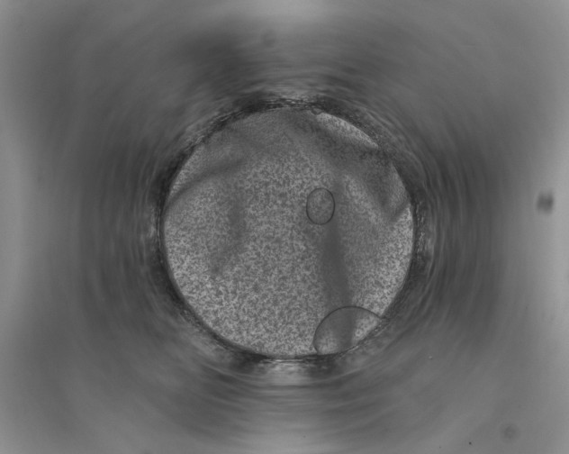 X0000094440518200711291639