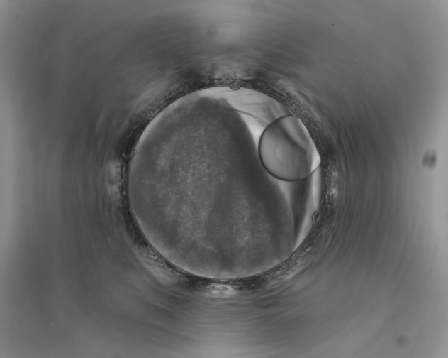 X0000094440519200711291639