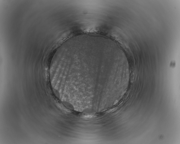 X0000094440521200711291639