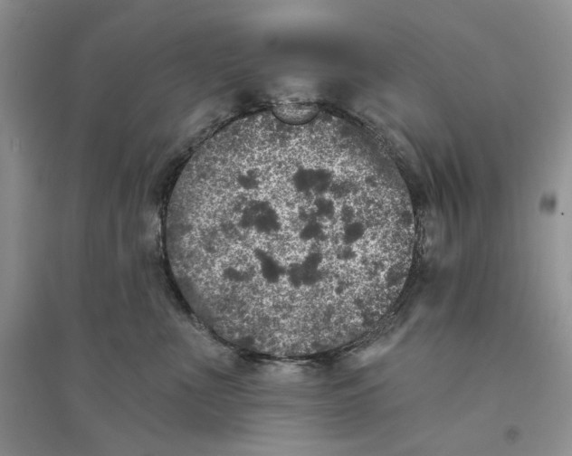 X0000094440523200711291639